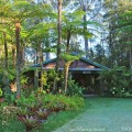 Cottage made from Stringybark Eumundi Queensland ©KimWoodsRabbidge-Our-Australian-Gardens