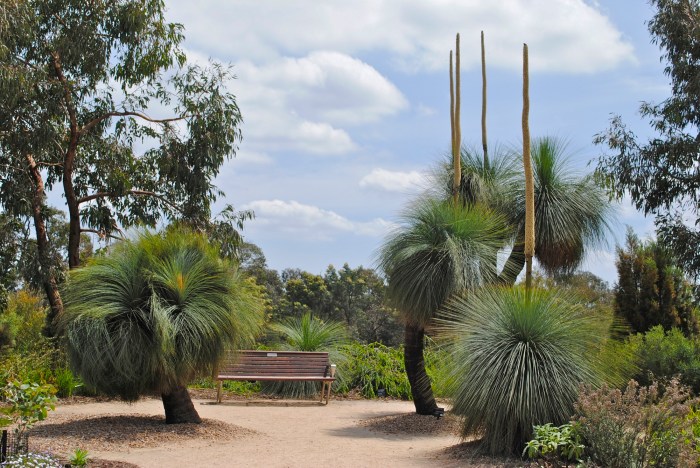 Australian Garden Cranbourne