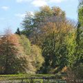 Culzean10©KimWoodsRabbidge-Our-Australian-Gardens