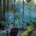 Outdoor fireside Stringybark 2 ©KimWoodsRabbidge-Our-Australian-