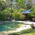 Poolside ©KimWoodsRabbidge-Our-Australian-Gardens
