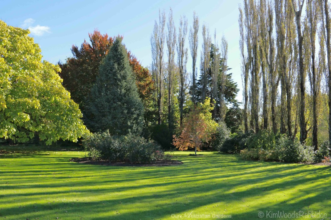 Culzean22©KimWoodsRabbidge-Our-Australian-Gardens