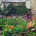 Muted stone is the perfect background to the vivid colour in the&nbsp;garden
