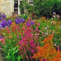 Garden paintbox filled with&nbsp;colour.