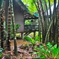 Rainforest house©Kim Woods&nbsp;Rabbidge