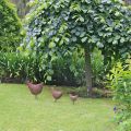 Chooks – Gardens of&nbsp;Lucindale
