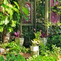 West End garden arbour ©Kim Woods&nbsp;Rabbidge
