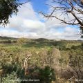 Our Australian Gardens