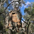 the-castle-paradise-c2a9kim-woods-rabbidge