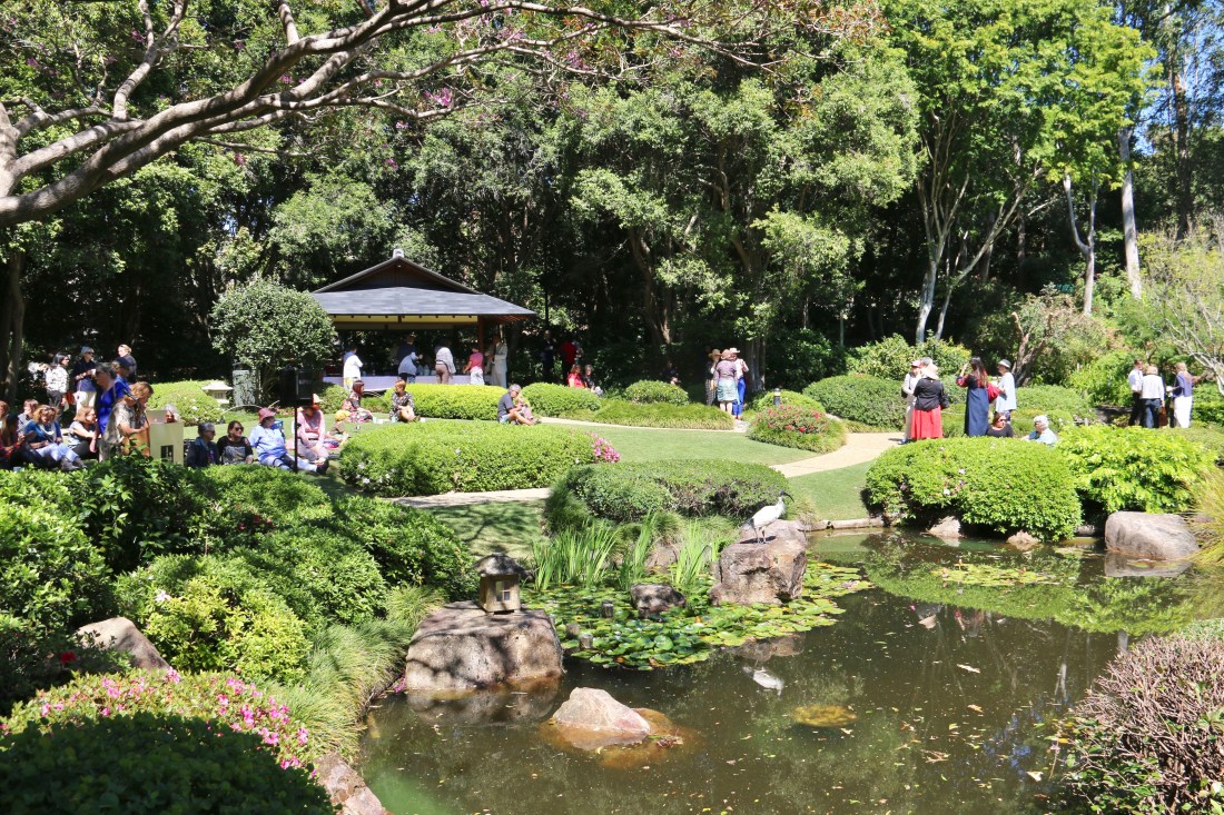 IMG_1791©Kim Woods Rabbidge